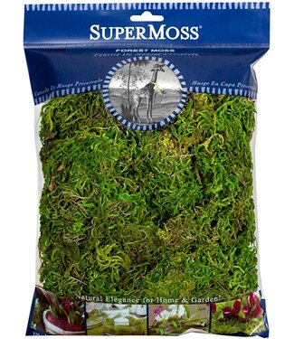 8oz Forest Moss Preserved