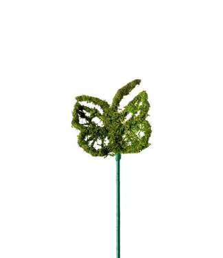 Monarch Moss Pick