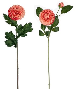Dahlia Polyester