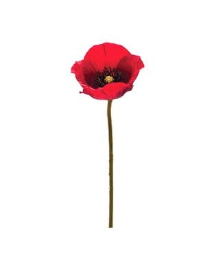 26.5" Poppy Spray Polyester