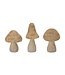 Mushroom  Resin
