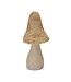 Mushroom  Resin