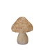 Mushroom  Resin