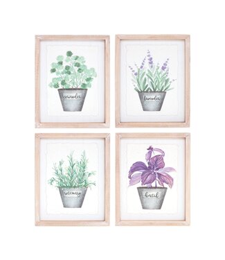 6.5" x 8" Herb Frame Paper/MDF