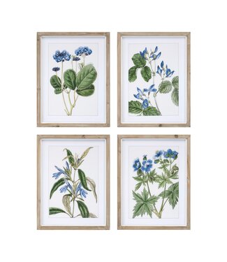Framed Floral Print