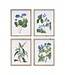 Framed Floral Print
