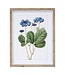 Framed Floral Print