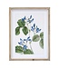Framed Floral Print