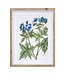Framed Floral Print