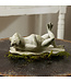 9.5" x 4.75" Frog Relaxing