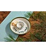 Lake Chip & Dip Server