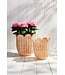 Scallop Wicker Basket