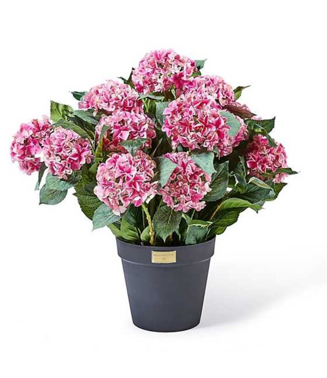 MACKENZIE CHILDS Hydrangea Urn Filler
