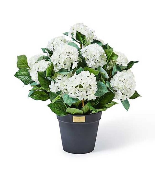 MACKENZIE CHILDS Hydrangea Urn Filler