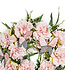 MACKENZIE CHILDS Butterfly Meadow Peony 26" Wreath
