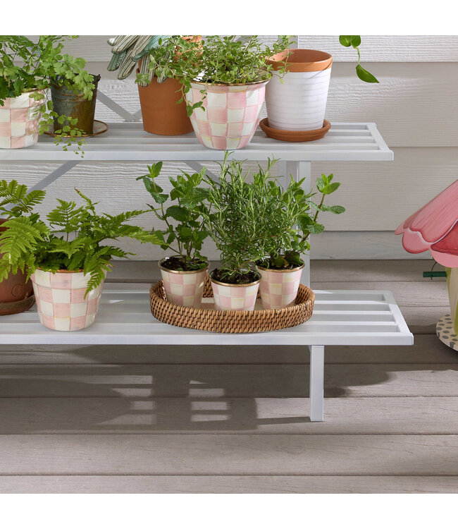 MACKENZIE CHILDS Rosy Check Herb Pot  - Sold Individually