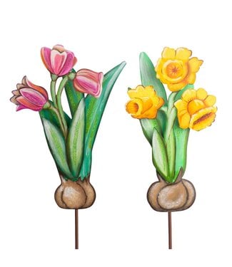 THE ROUND TOP COLLECTION Bulbs