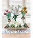 THE ROUND TOP COLLECTION Bulbs
