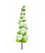 THE ROUND TOP COLLECTION Hydrangea Topiary
