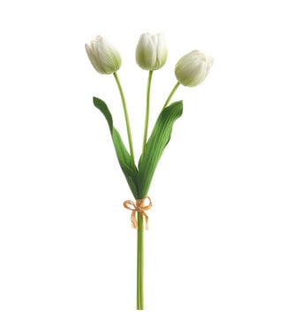 *SB* 20" Real Touch Light Green Tulip Bundle