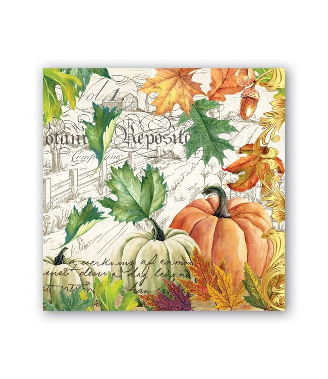 STONEWALL KITCHEN Cocktail Napkin