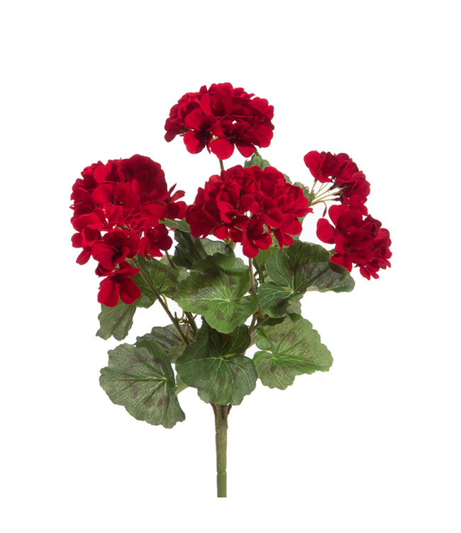18" Red Geranium Bush