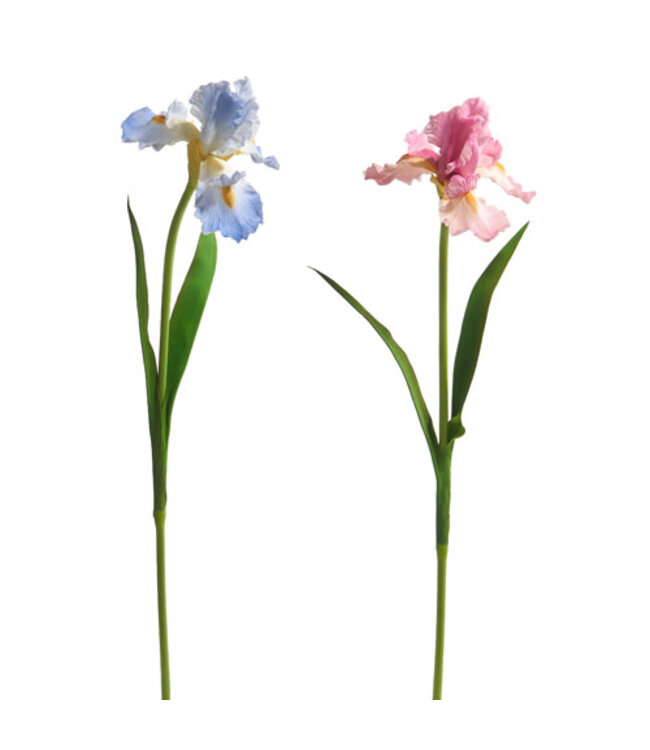 30.5" Real Touch Iris Stem