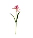 30.5" Real Touch Iris Stem