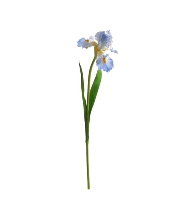 30.5" Real Touch Iris Stem