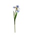 30.5" Real Touch Iris Stem