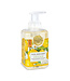 Foaming Hand Soap