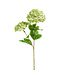 19" Real Touch Hydrangea Spray