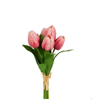12" Tulip Bundle