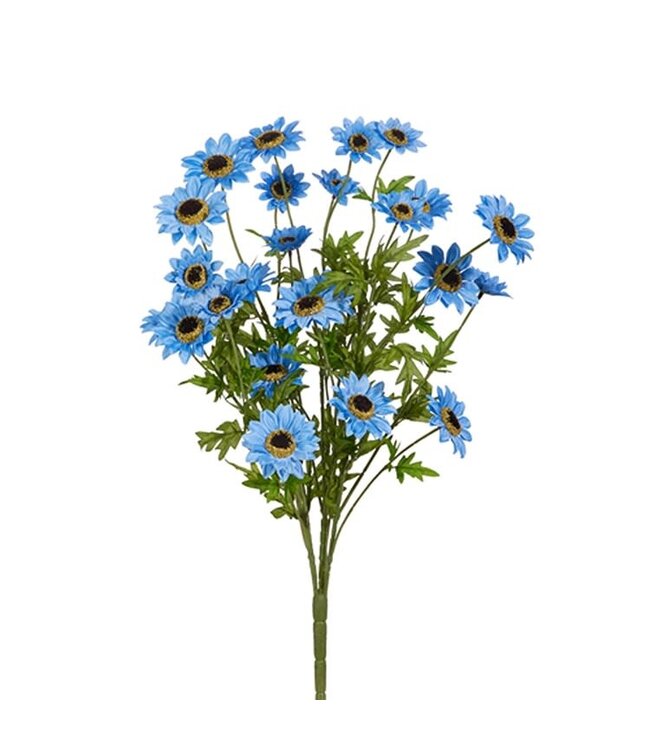 25” Blue Black Eyed Susan Spray