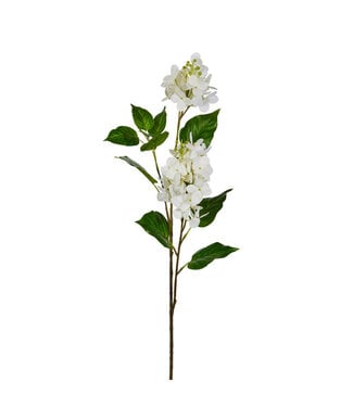 30” White Cone Hydrangea Spray