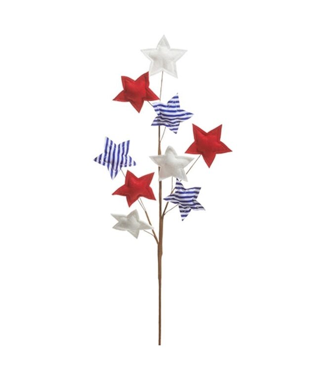 28” Red White and Blue Star Spray