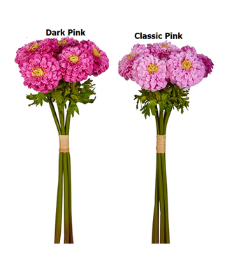 22” Pink Zinnia Bundle