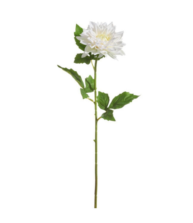 23” White Dahlia Stem