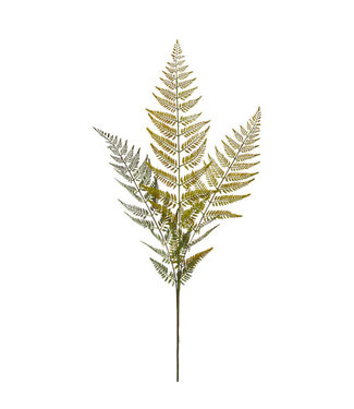 43” Fern Spray