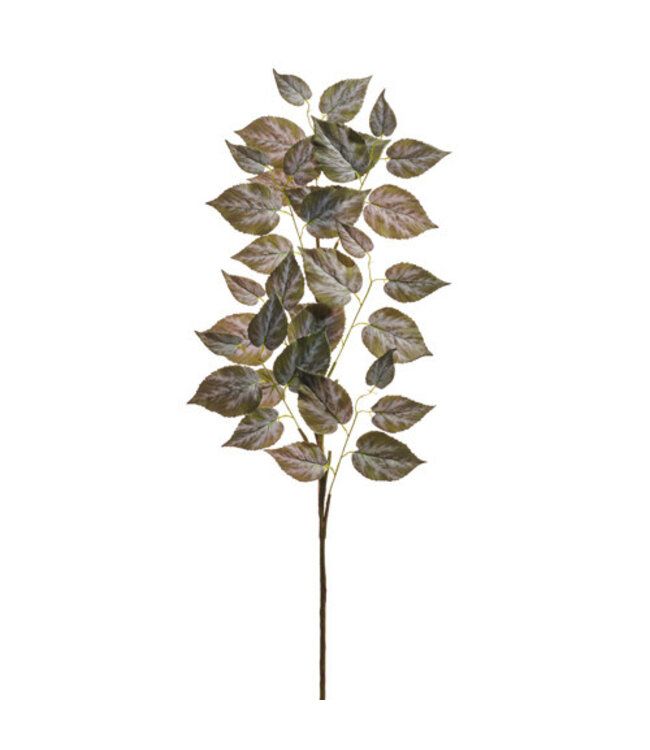 37” Variegated Ivy Spray