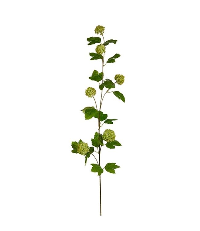 42” Sedum Spray