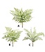 20” Soft Touch Fern - Sold Individually