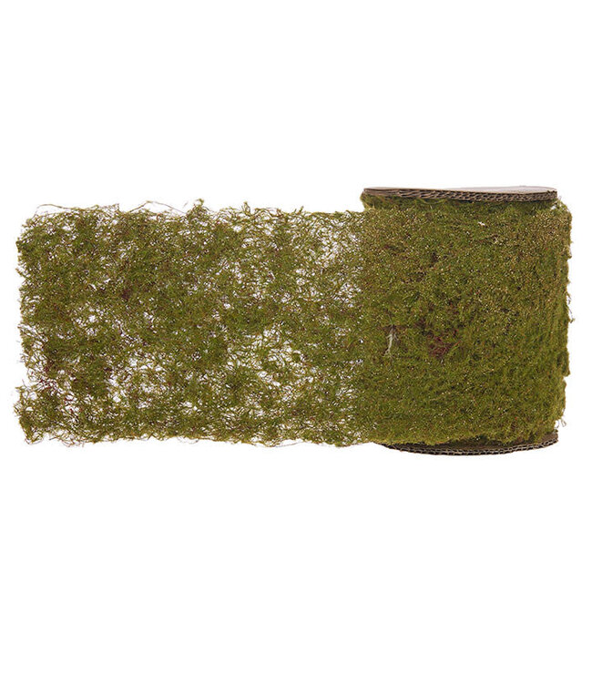 6" x 6' Moss Ribbon
