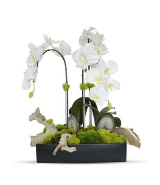 White Orchids in Retangular Black Ceramic With Agate Slabs