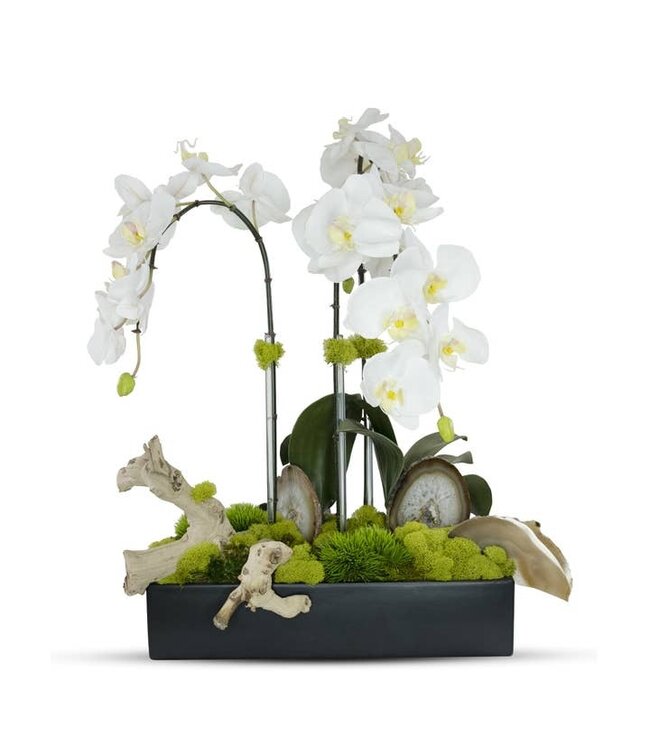 White Orchids in Retangular Black Ceramic With Agate Slabs