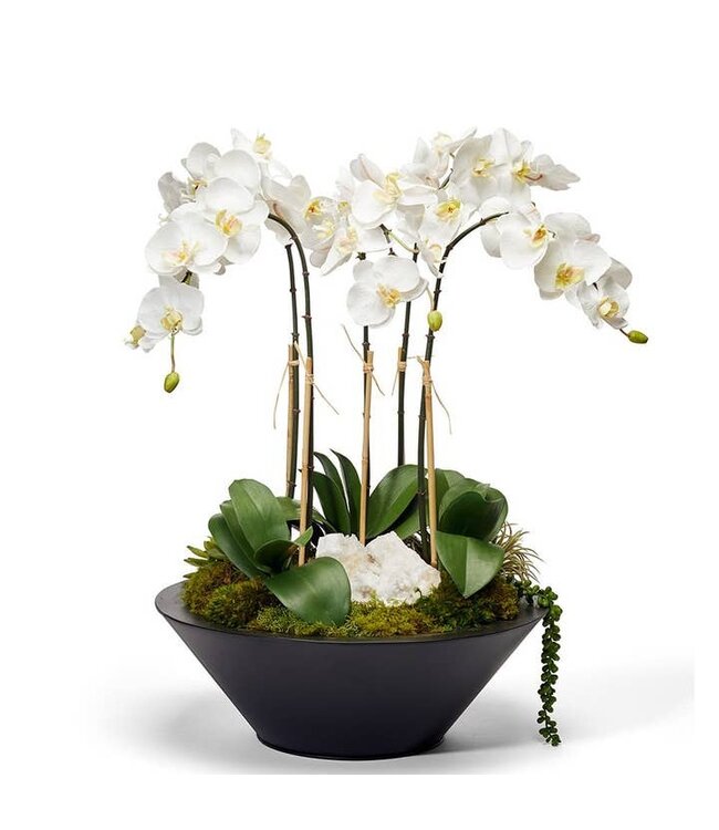 Orchids in Round Metal With Geode