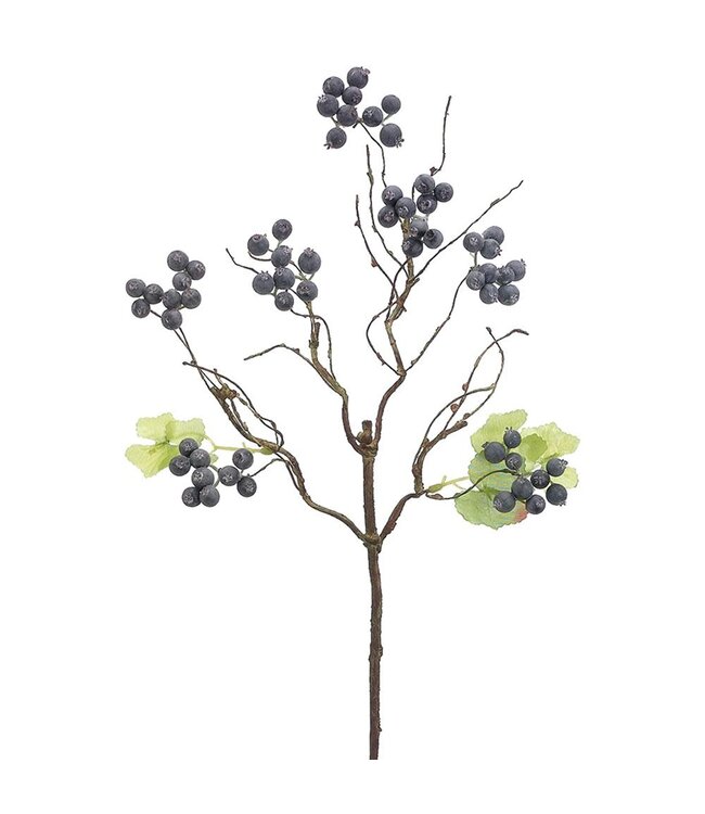 22" Berry Spray Blue Gray