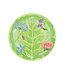 Salad & Dessert Plates Square
