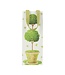 Potted Topiary - Bottle Bag