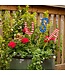 THE ROUND TOP COLLECTION USA Trio Stake